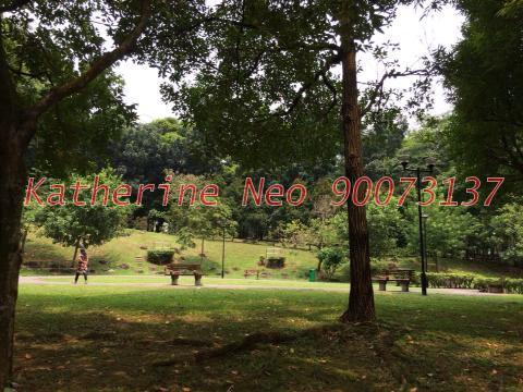 Blk 528 Jelapang Road (Bukit Panjang), HDB Executive #113815492